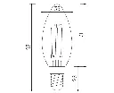 MINALOX_stmievatelna_LED_ziarovka_E14_3,6W_WW_DC24V_smarthome_podorys_rozmery.webp