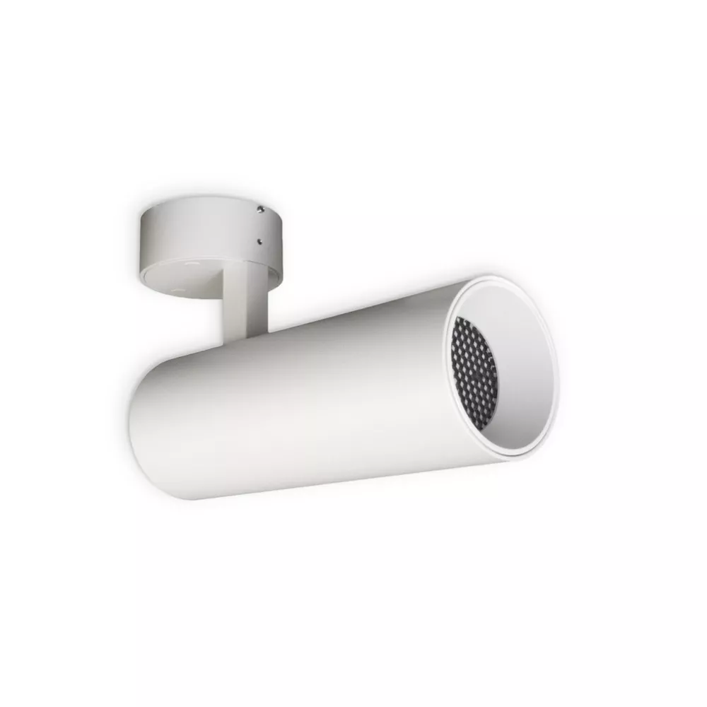 [SSLD62/12W/24V/60D/1800/4500/WH] MINALOX SURFACE LED SPOTLIGHT D62 DUALWHITE 12W 24V 60° 1800-4500K white Loxone dimbaar